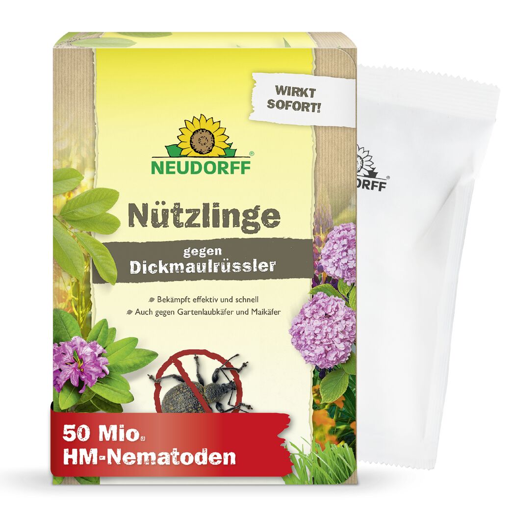 Bestell-Karte Nützlinge gegen Dickmaulrüssler