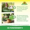 Bestell-Karte Nützlinge gegen Dickmaulrüssler