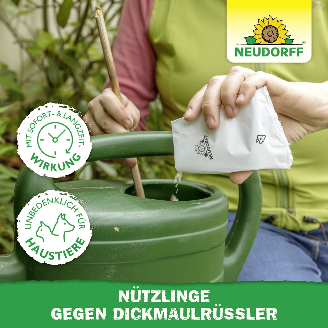 Bestell-Karte Nützlinge gegen Dickmaulrüssler