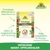 Bestell-Karte Nützlinge gegen Apfelwickler