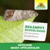 Bestell-Karte Nützlinge gegen Apfelwickler