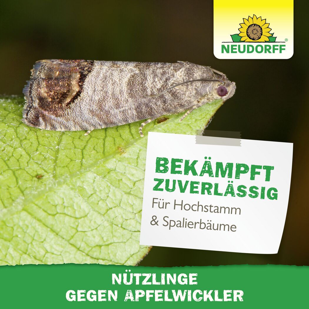 Bestell-Karte Nützlinge gegen Apfelwickler
