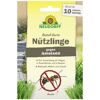 Bestell-Karte Nützlinge gegen Ameisen