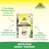 Bestell-Karte Nützlinge gegen Ameisen