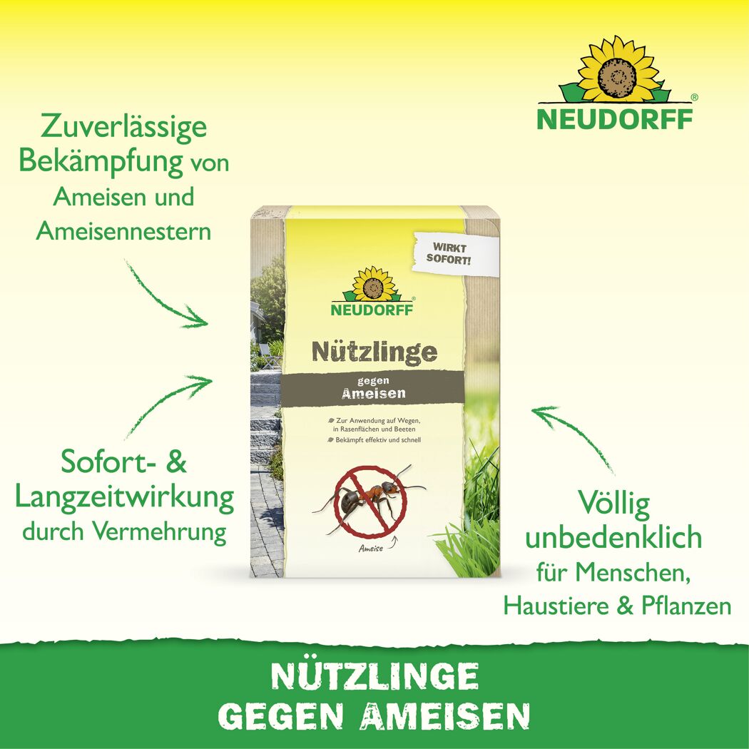 Bestell-Karte Nützlinge gegen Ameisen