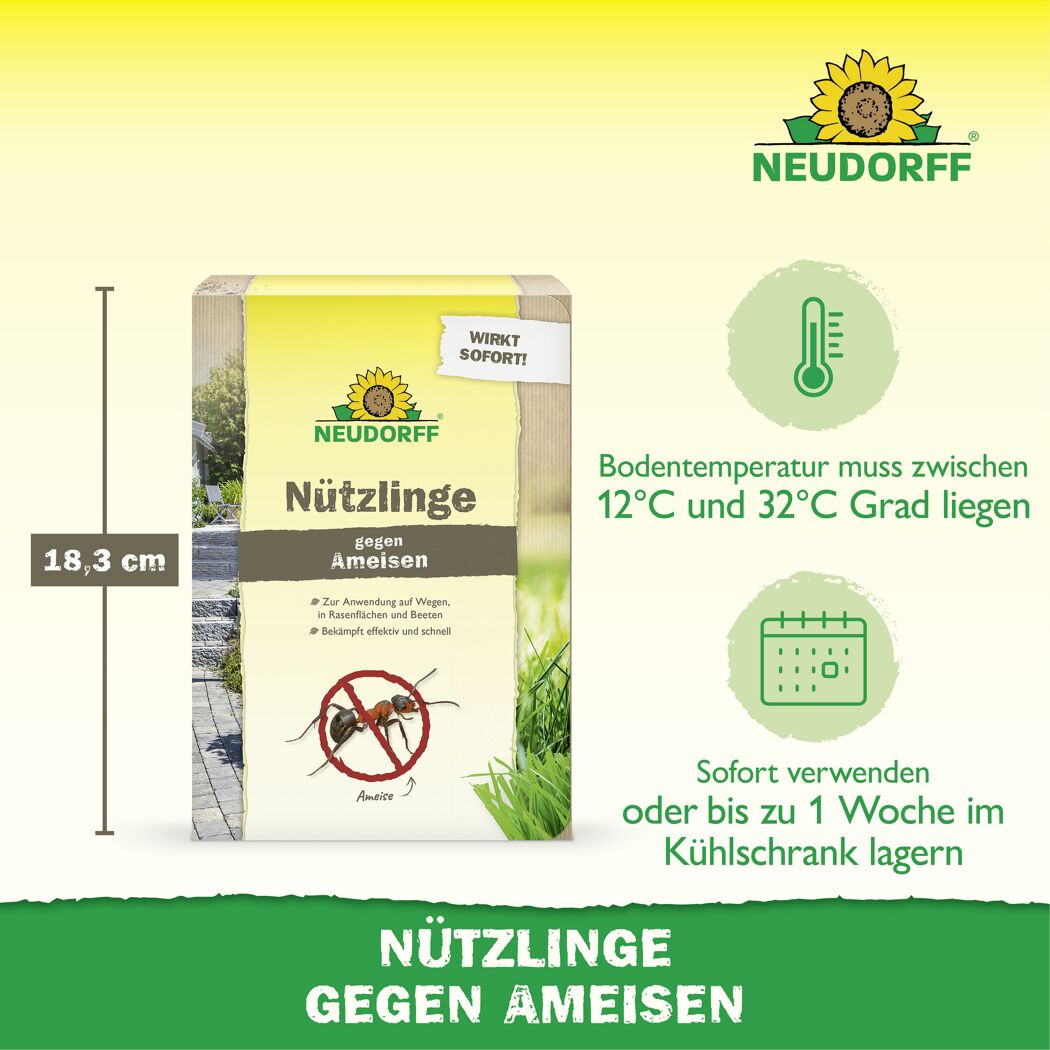 Bestell-Karte Nützlinge gegen Ameisen