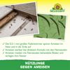 Bestell-Karte Nützlinge gegen Ameisen
