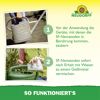 Bestell-Karte Nützlinge gegen Ameisen