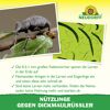 Bestellkarte Nützlinge gegen Dickmaulrüssler