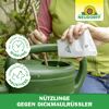 Bestellkarte Nützlinge gegen Dickmaulrüssler
