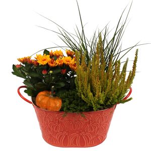 Zinkschale bepflanzt