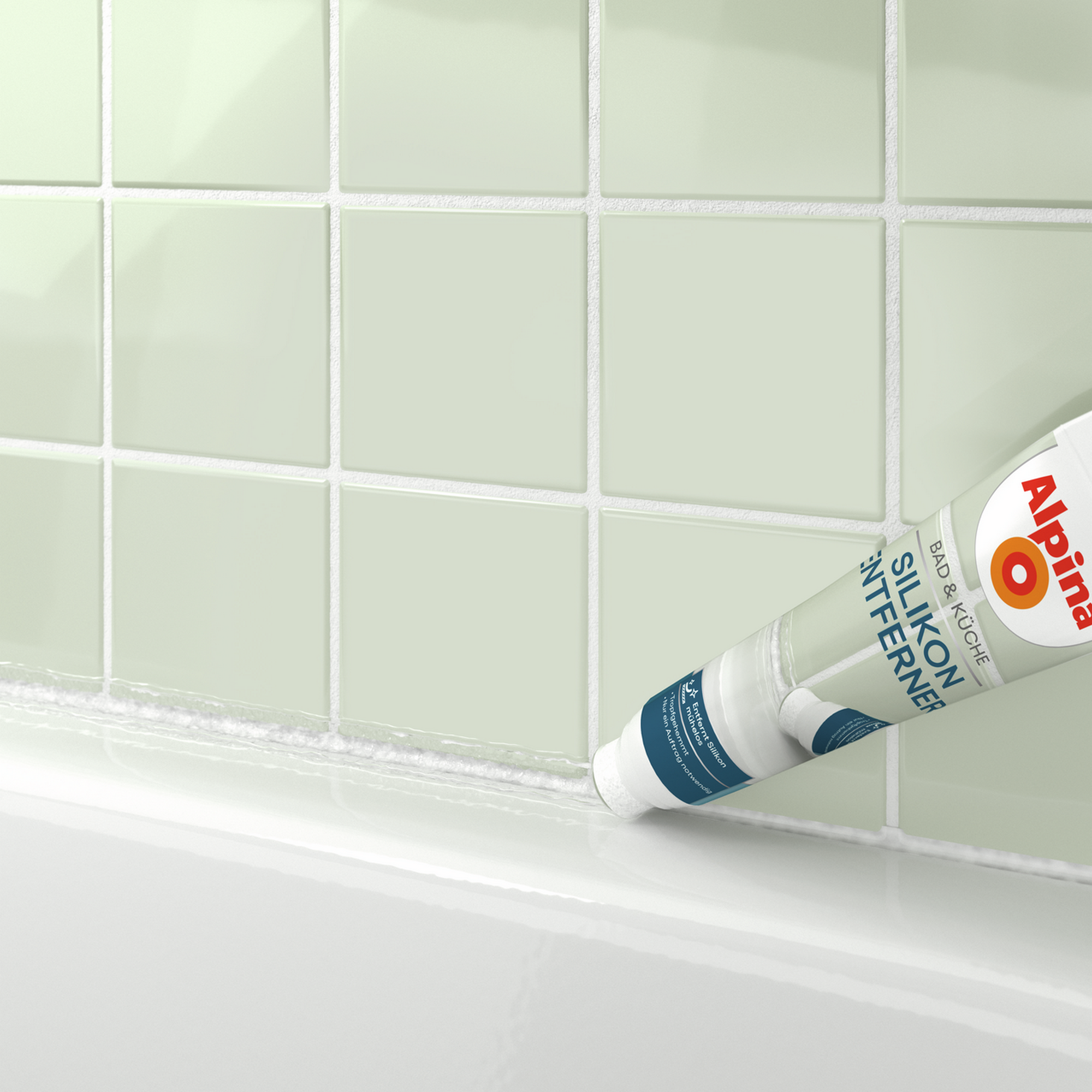 Silikonentferner 100 ml