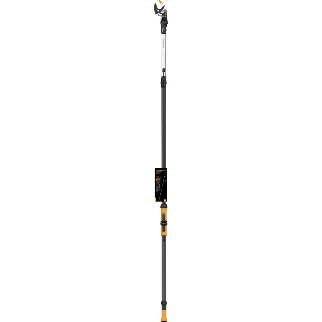 Entaster 'UPX96'
