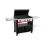 Slate 'GPD 76 Premium Plancha' 180 x 67 x 98 cm
