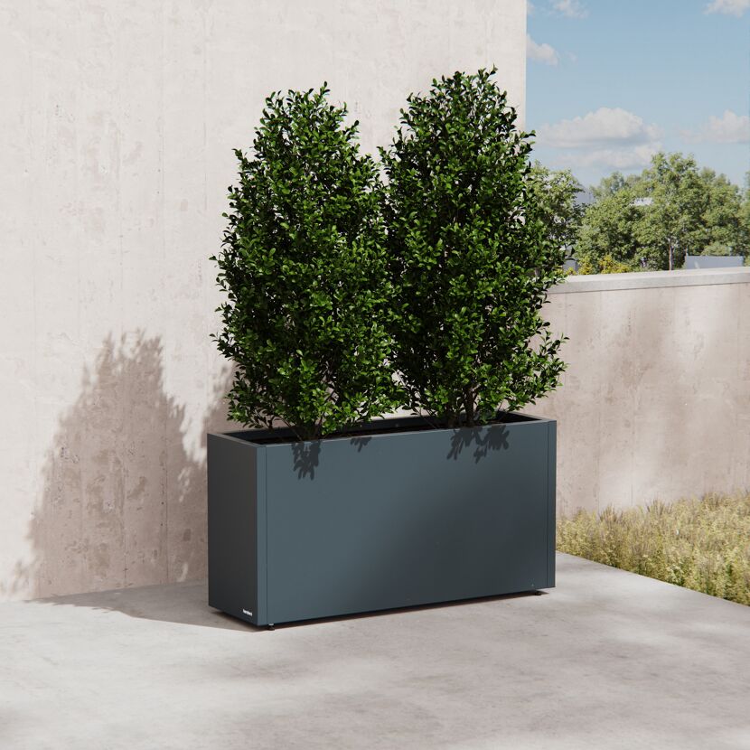 Pflanzkübel 'Cube' anthrazit 100 x 45 x 30 cm