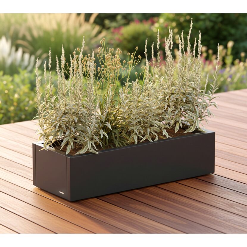Pflanzkübel 'Cube' anthrazit 100 x 32 x 40 cm
