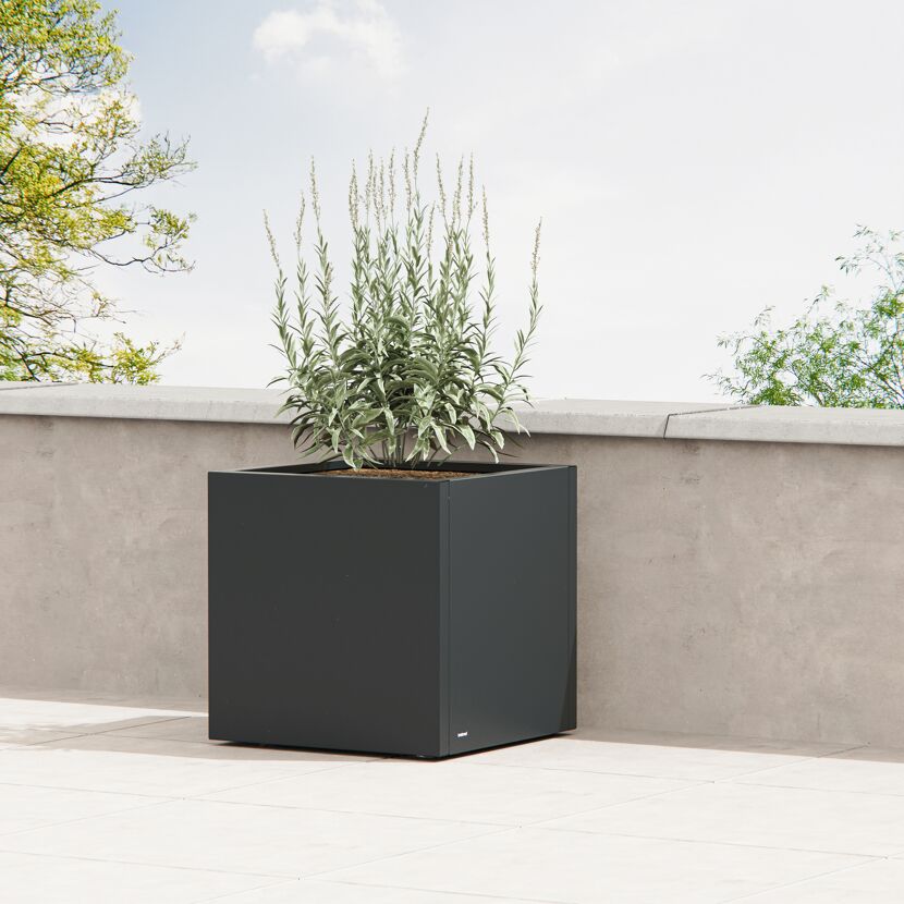 Pflanzkübel 'Cube' anthrazit 60 x 32 x 60 cm