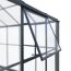 Gewächshaus 'Suprema M' Polycarbonat 284 x 215 x 243 cm schwarz