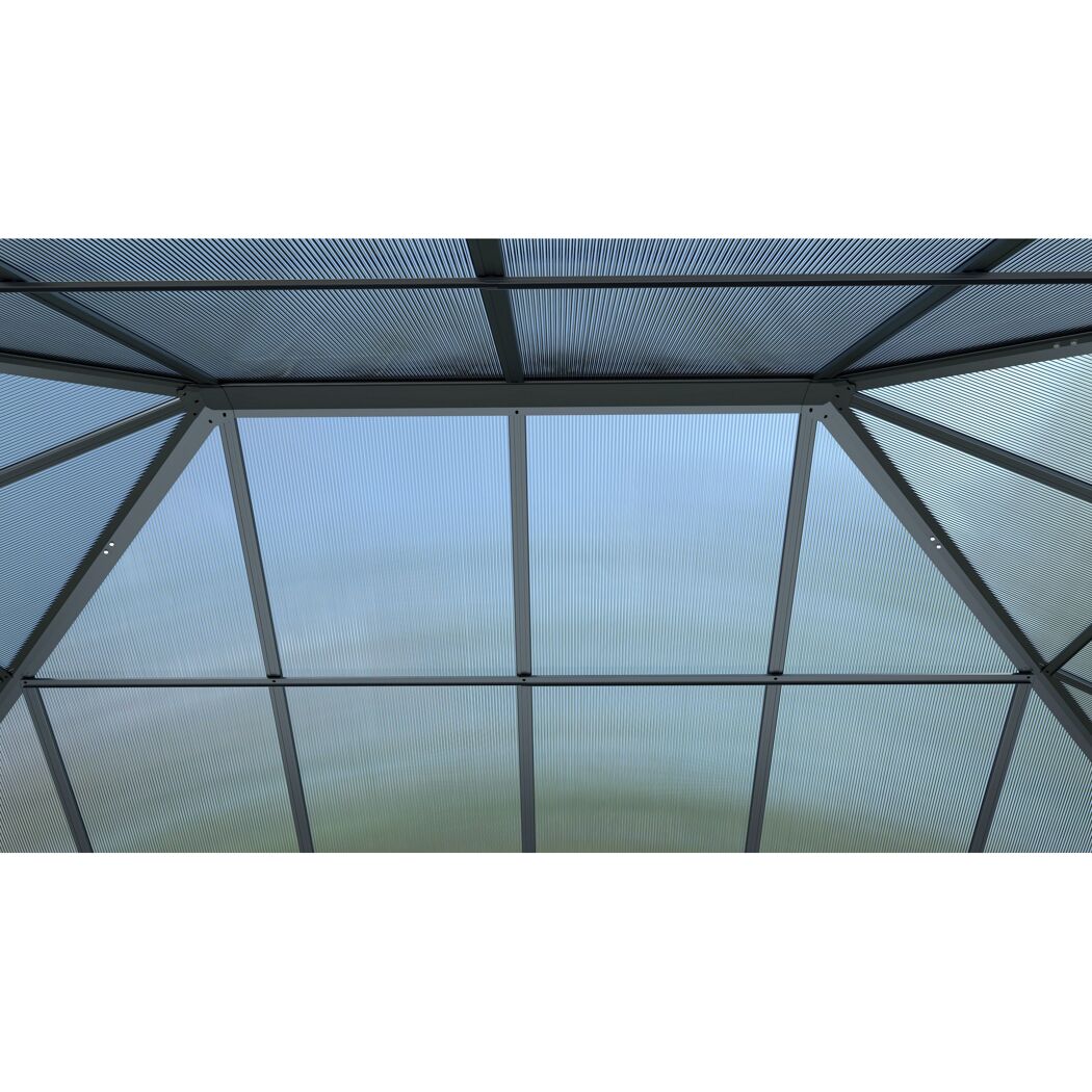 Gewächshaus 'Suprema M' Polycarbonat 284 x 215 x 243 cm schwarz