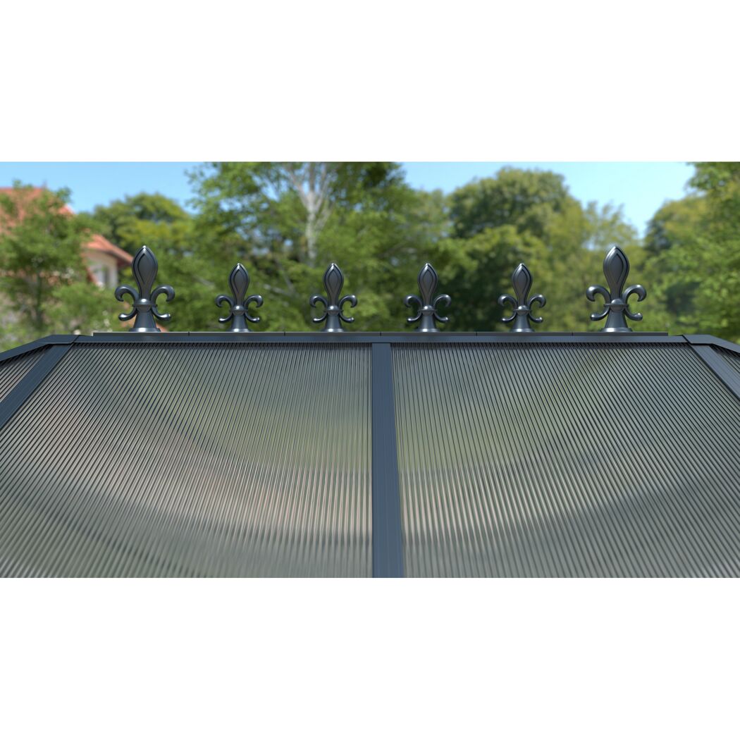 Gewächshaus 'Suprema M' Polycarbonat 284 x 215 x 243 cm schwarz