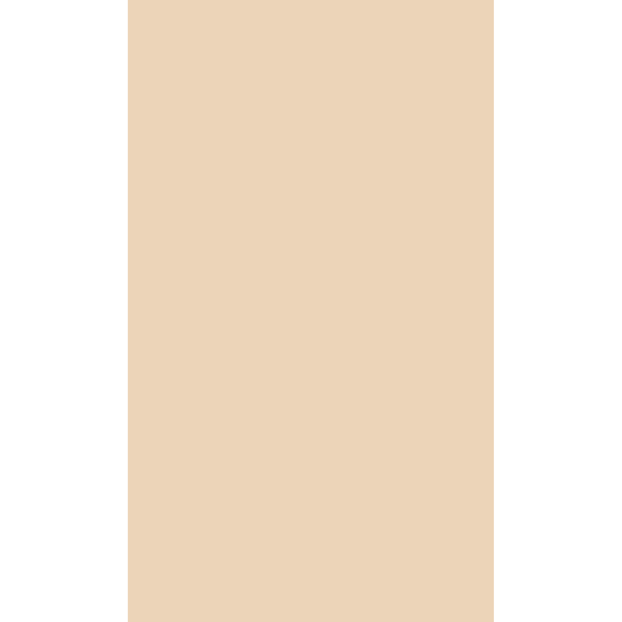 hauptbild