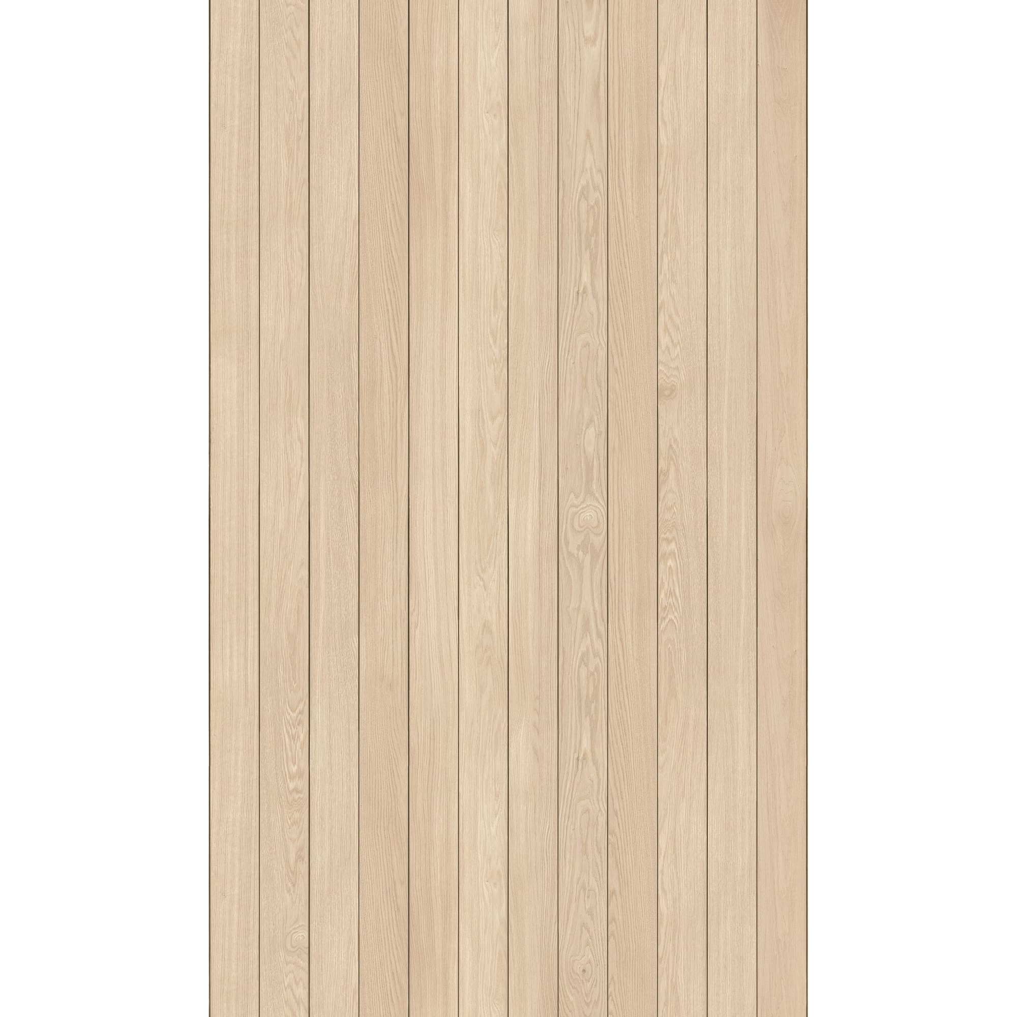 hauptbild