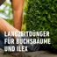 Buchsbaum- und Ilex Langzeit-Dünger 850 g