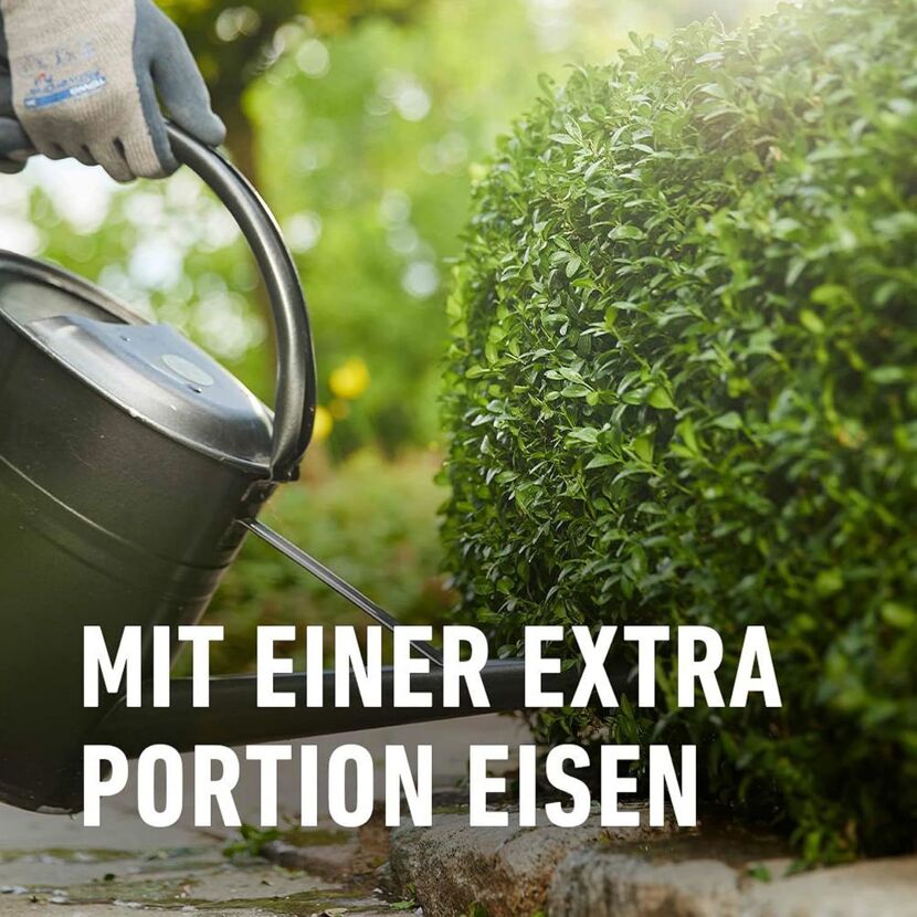 Buchsbaum- und Ilex Langzeit-Dünger 850 g