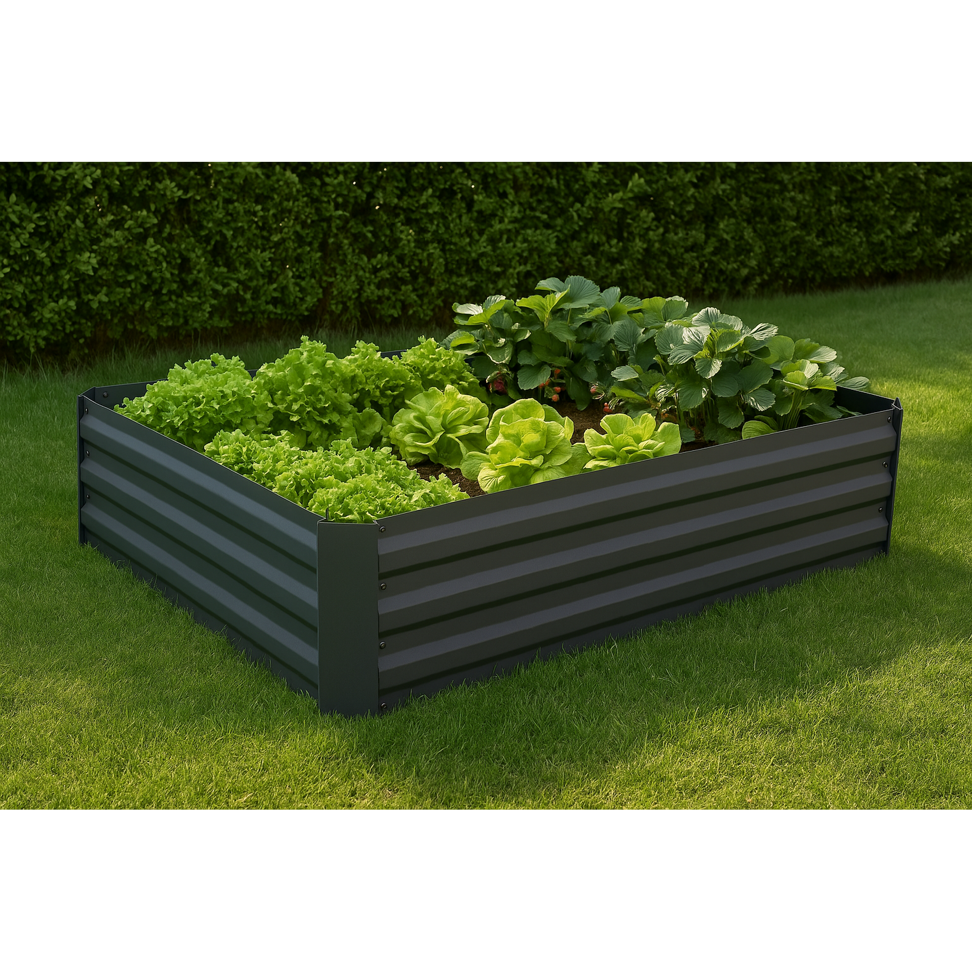 Beetumrandung 'Botanika' Stahl anthrazit 120,5 x 91 x 30 cm