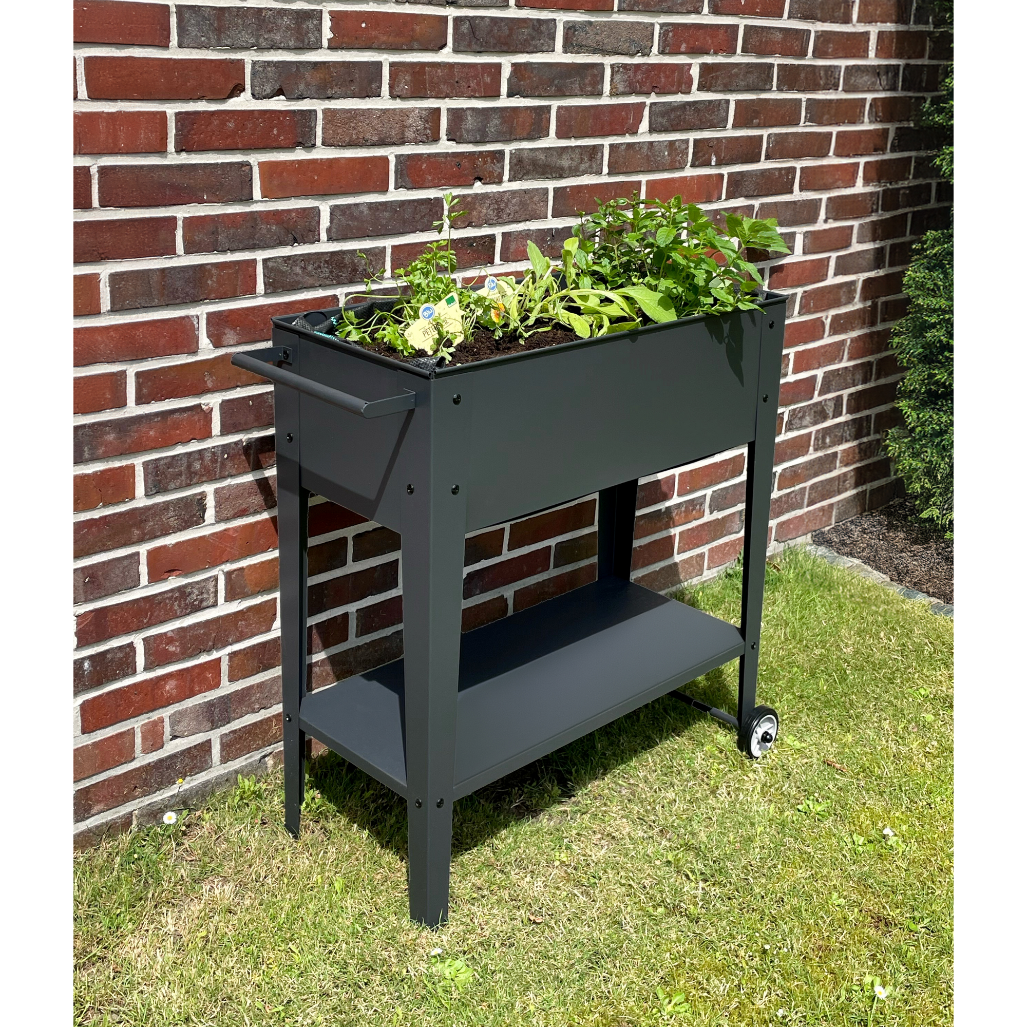 Hochbeet 'Violetta' Stahl anthrazit 34 x 80 x 82 cm