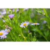 hauptbild