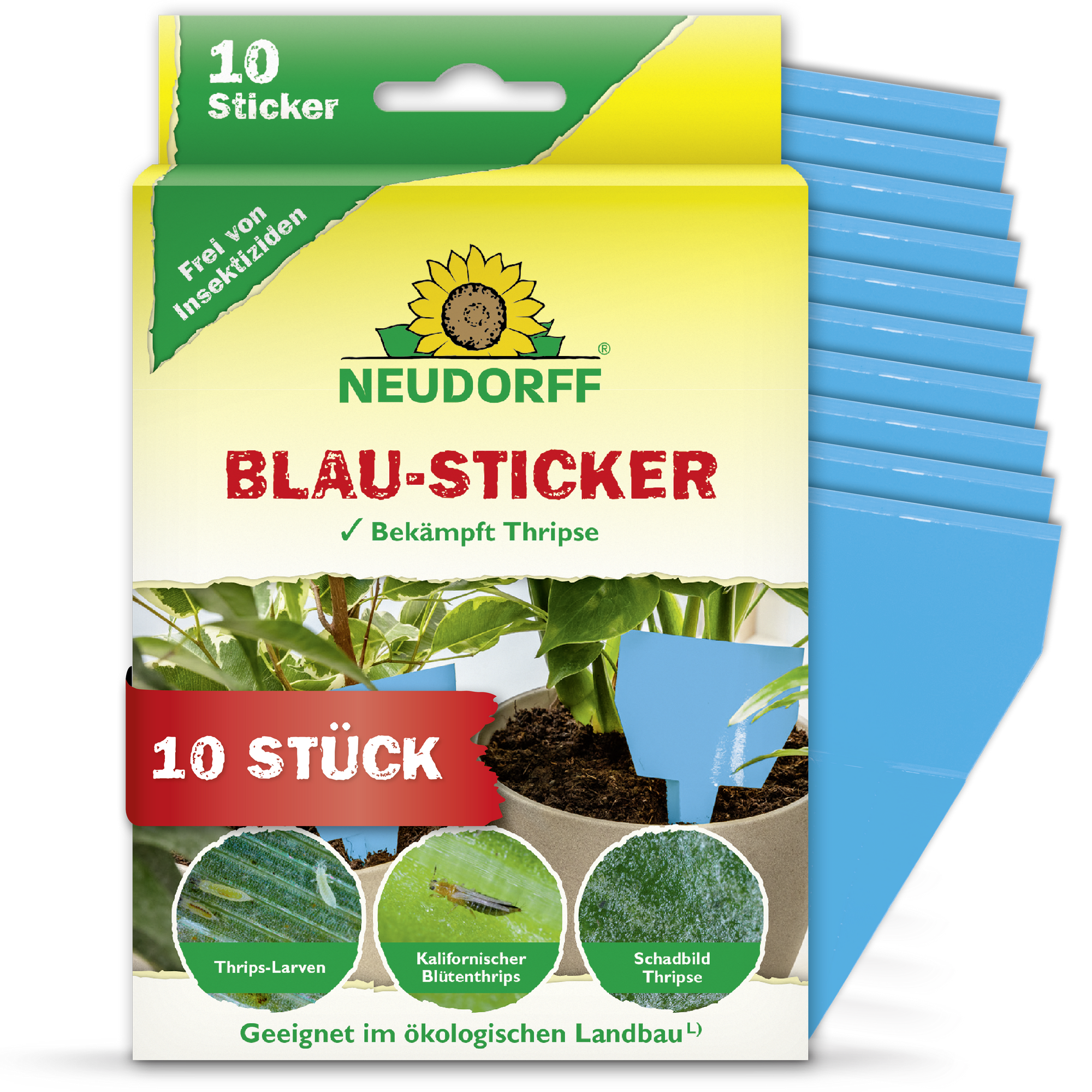 Blau-Sticker Klebefalle 10 Stück