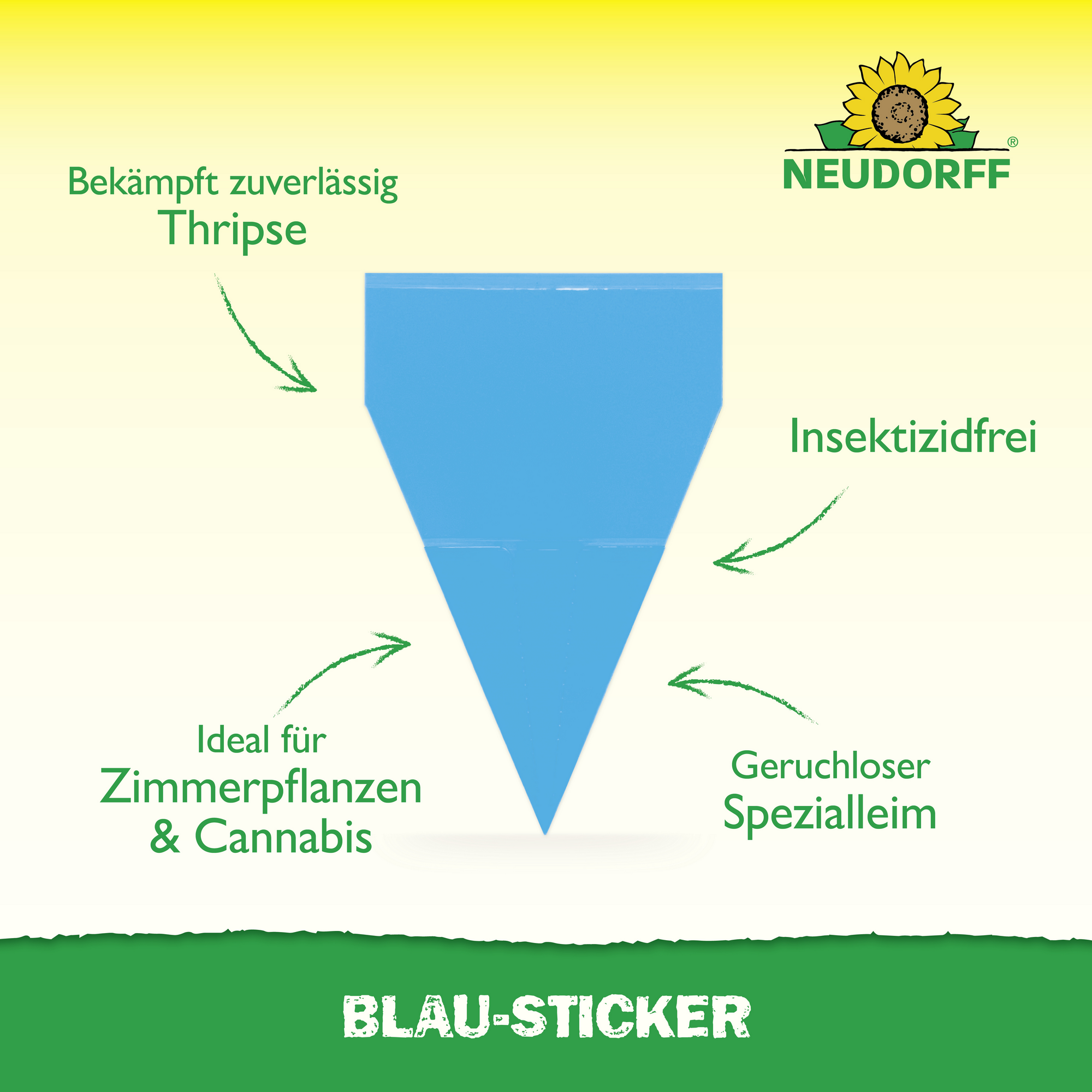 Blau-Sticker Klebefalle 10 Stück
