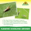 Blau-Sticker Klebefalle 10 Stück