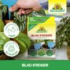 Blau-Sticker Klebefalle 10 Stück