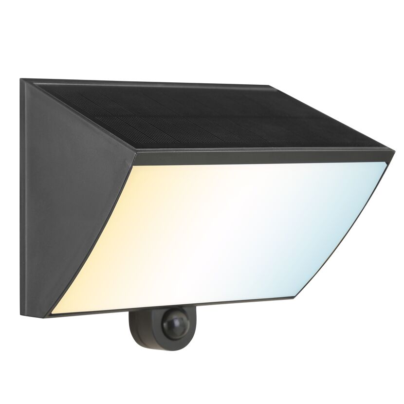 LED-Außenwandleuchte 'Sierra' schwarz 16,4 x 10,5 x 14,3 cm