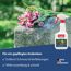 Grabsteinreiniger  500 ml