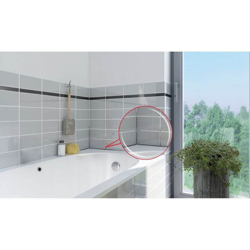 Schimmelvernichter 500 ml