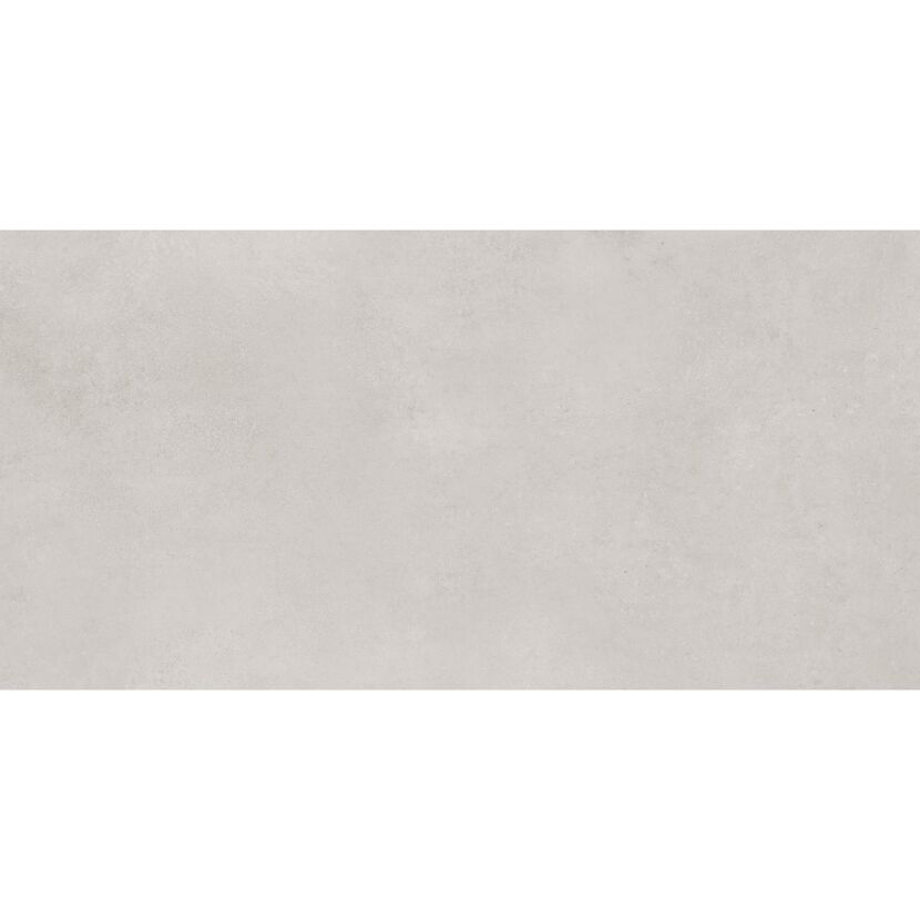 Bodenfliese 'Noa' Feinsteinzeug grau 60 x 120 x 0,82 cm