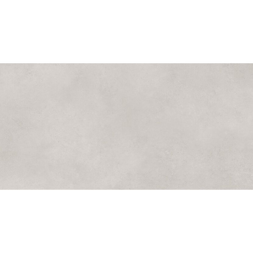 Bodenfliese 'Noa' Feinsteinzeug grau 60 x 120 x 0,82 cm