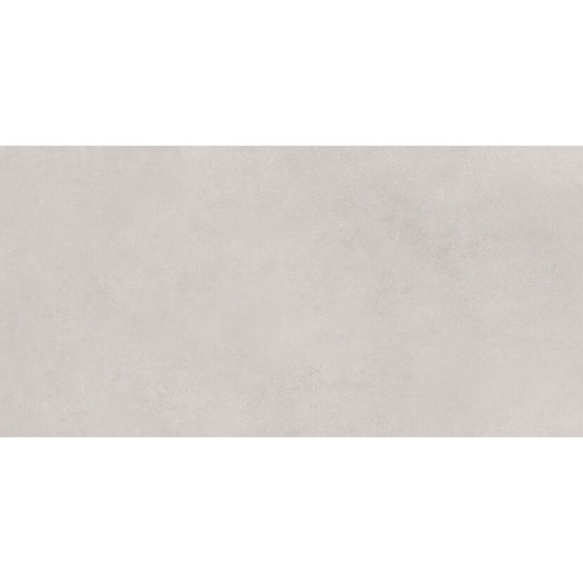 Bodenfliese 'Noa' Feinsteinzeug grau 60 x 120 x 0,82 cm