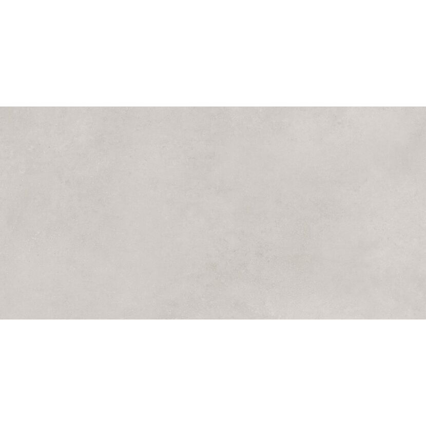 Bodenfliese 'Noa' Feinsteinzeug grau 60 x 120 x 0,82 cm