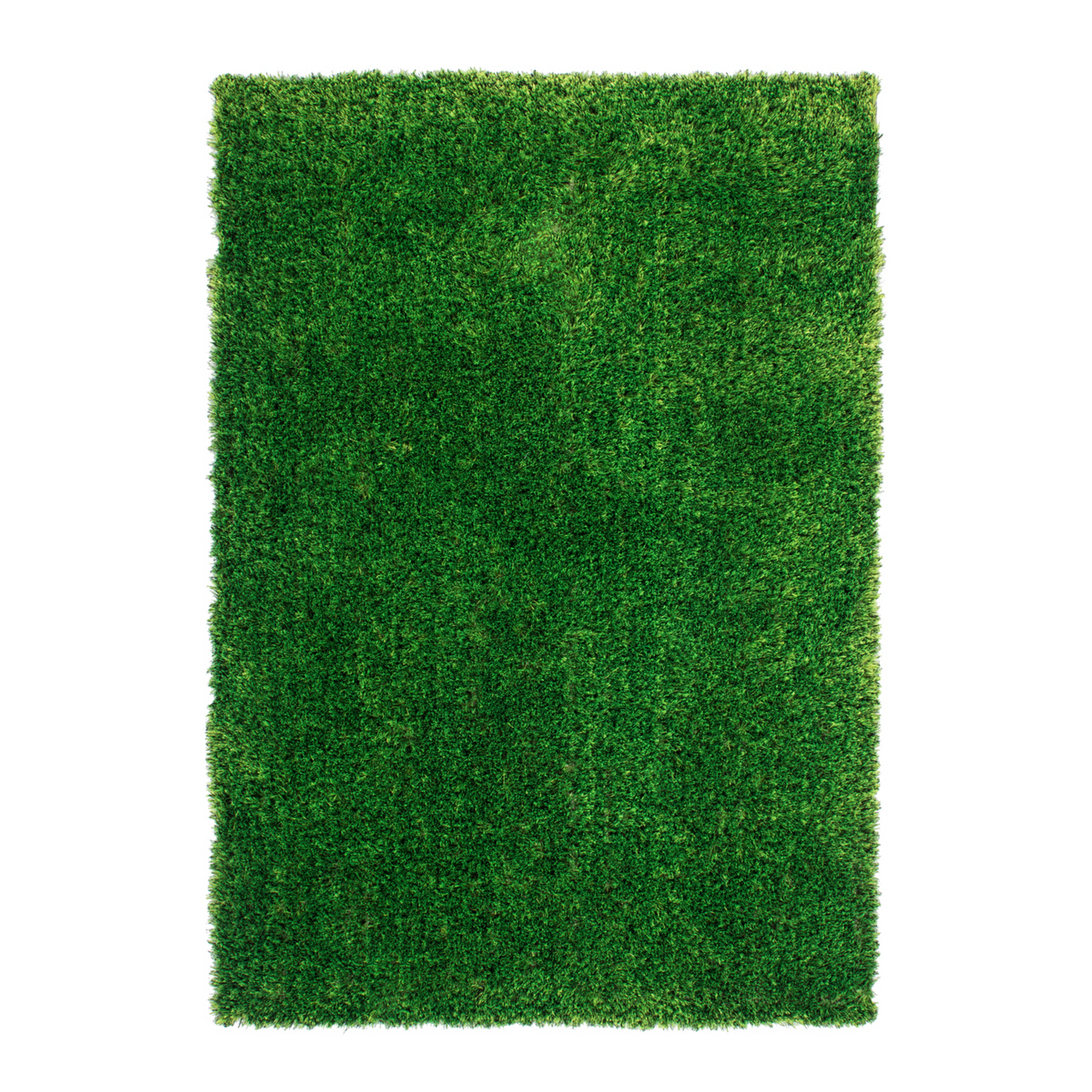 hauptbild