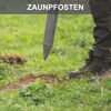 Benzin-Erdbohrer 'EB2000' 1,9 PS