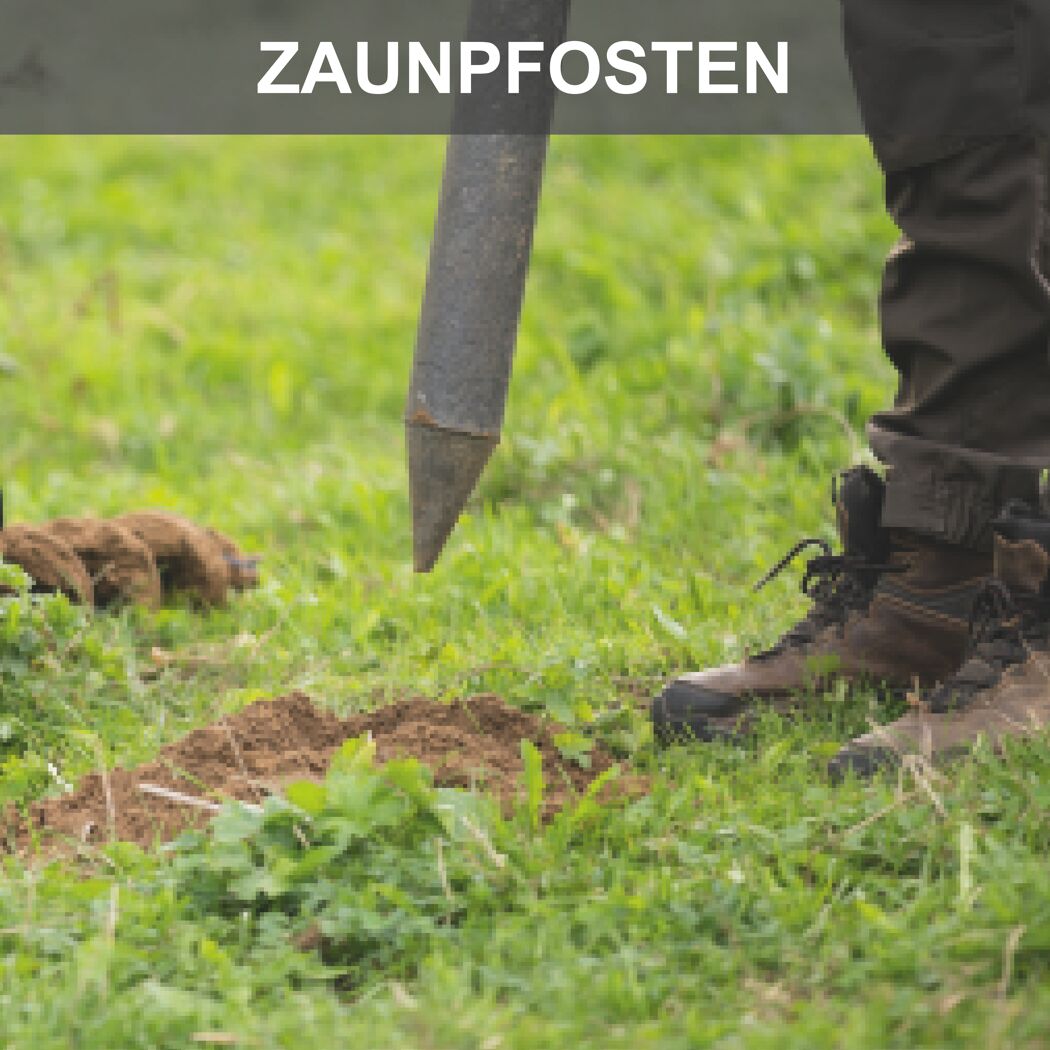Benzin-Erdbohrer 'EB2000' 1,9 PS