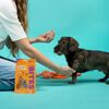 Hundesnack 'Top Dog Bites' Lachs & Huhn Small 50 g