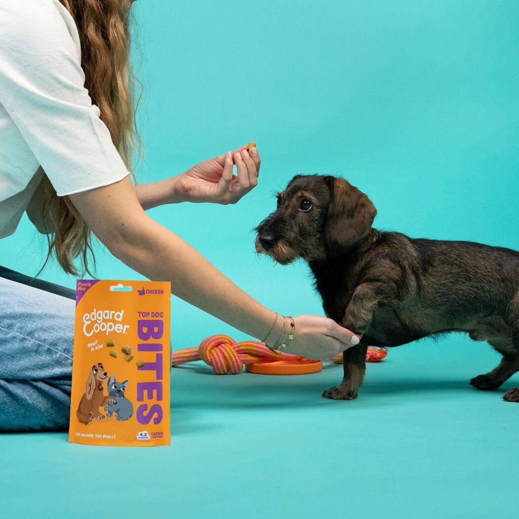 Hundesnack 'Top Dog Bites' Lachs & Huhn Small 50 g