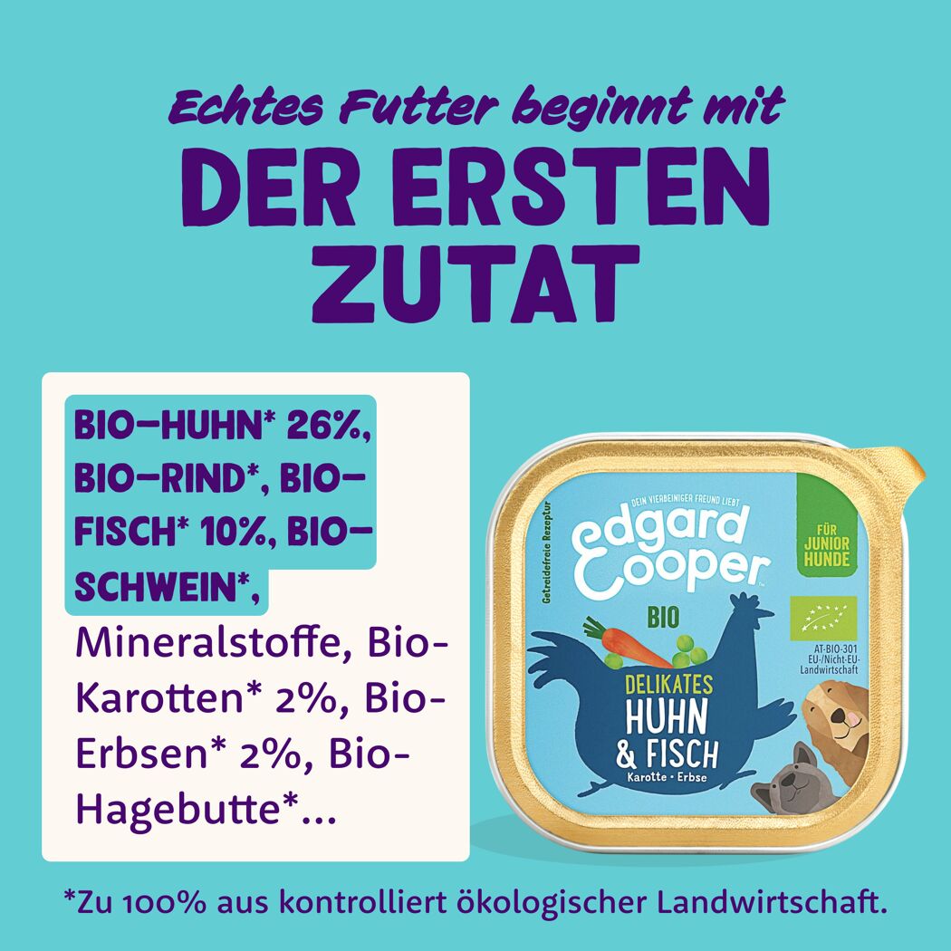 Hundenassfutter Bio-Huhn & Fisch mit Bio-Karotte 100 g
