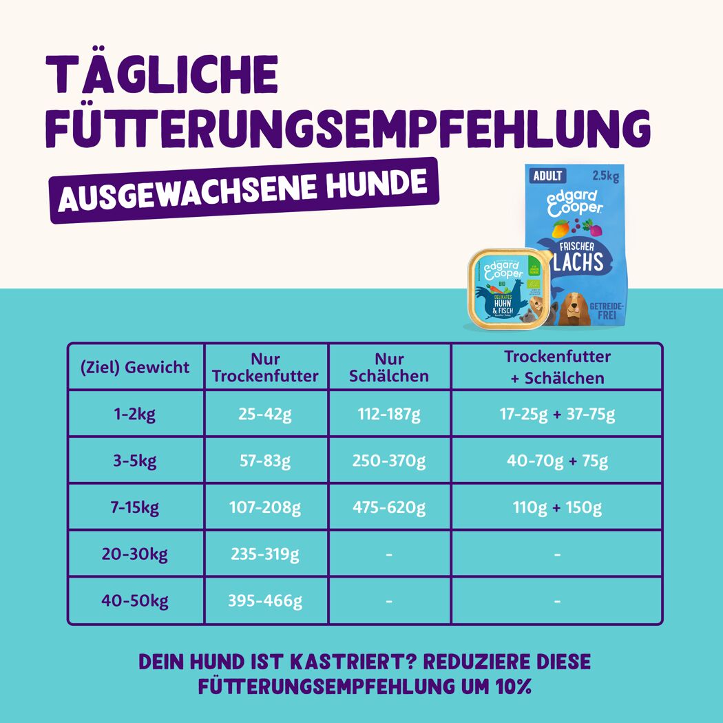 Hundenassfutter Bio-Huhn & Fisch mit Bio-Karotte 100 g