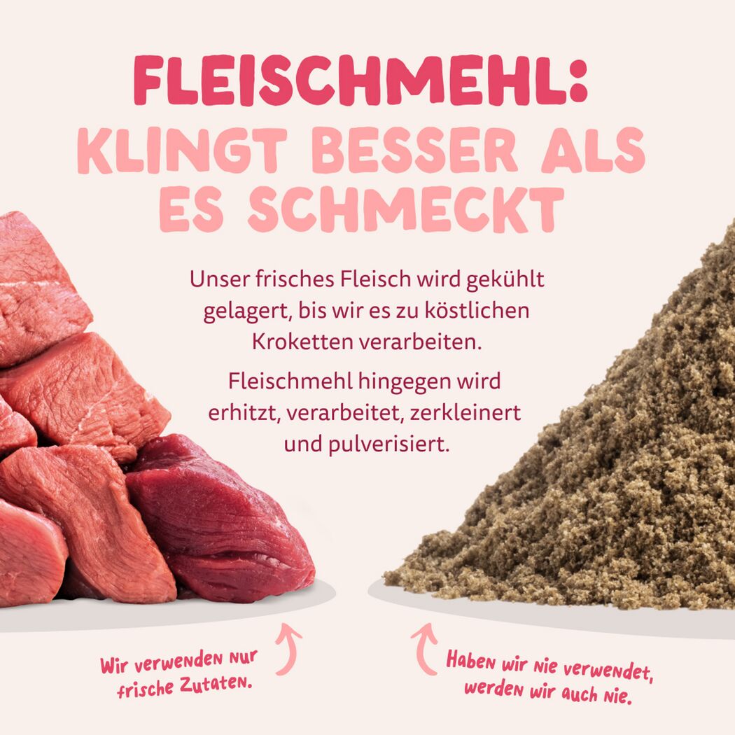 Hundetrockenfutter Frisches Bio Rind & Huhn für mittelgroße Hunde 2,5 kg